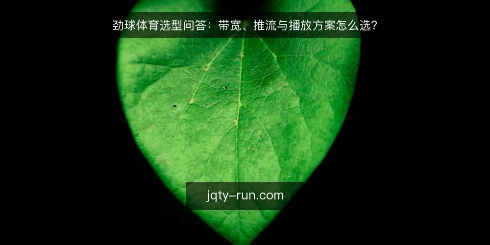 劲球体育选型问答:带宽、推流与播放方案怎么选? — 劲球体育直播需要多大的带宽? 配图
